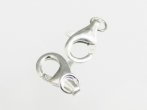 Parrot Clasp